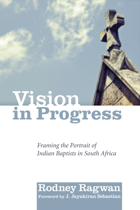 Cover image for book Vision in Progress