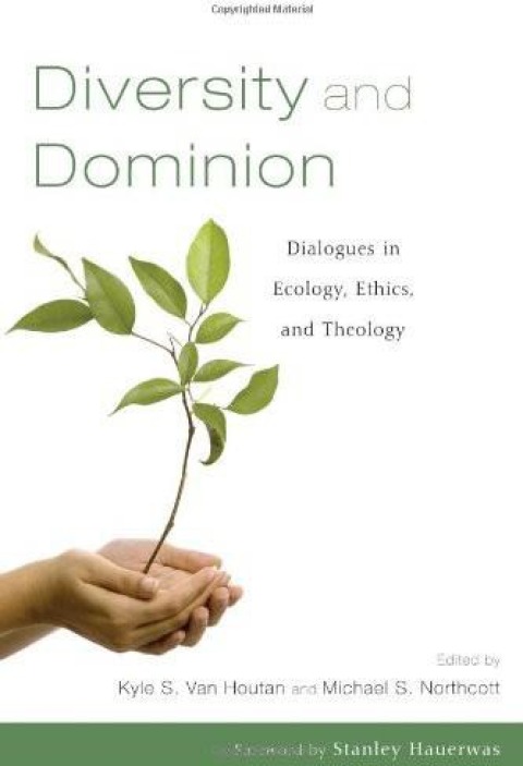 Cover image for book Diversity and Dominion