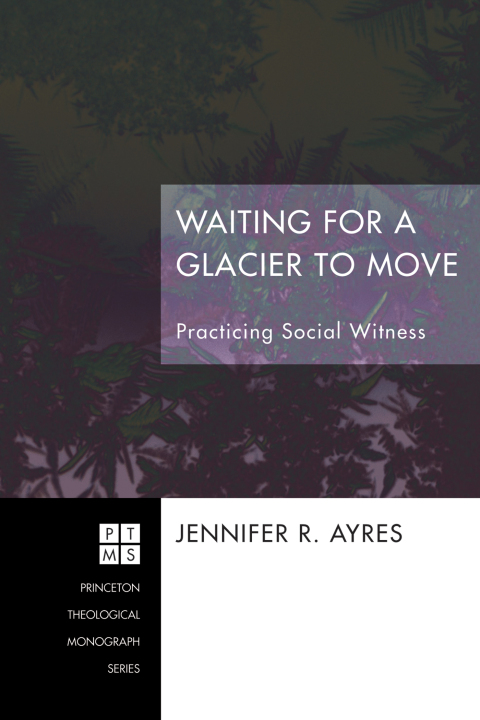Cover image for book Waiting for a Glacier to Move
