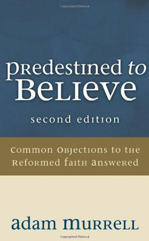 Cover image for book Predestined to Believe