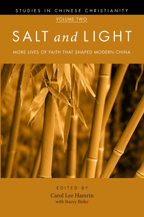 Cover image for book Salt and Light, Volume 2