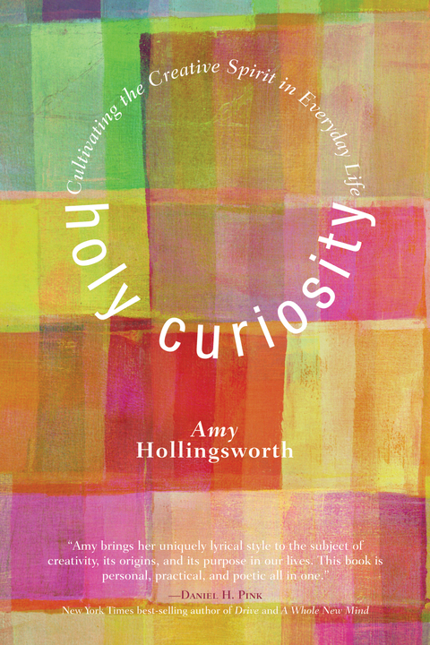 Cover image for book Holy Curiosity