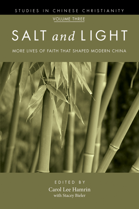 Cover image for book Salt and Light, Volume 3
