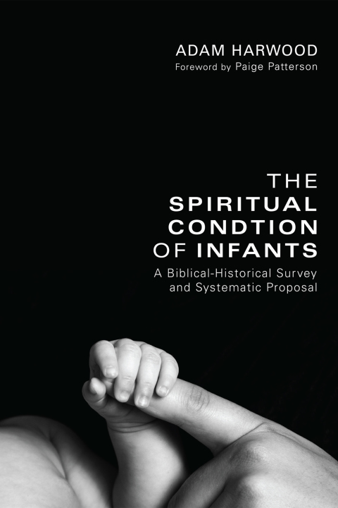 Cover image for book The Spiritual Condition of Infants
