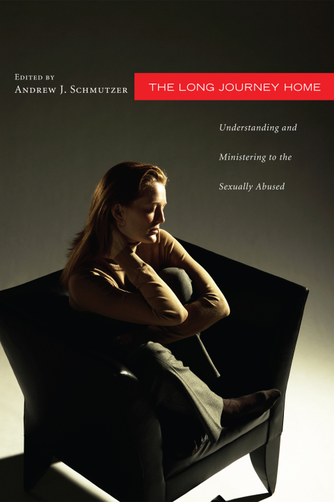 Cover image for book The Long Journey Home