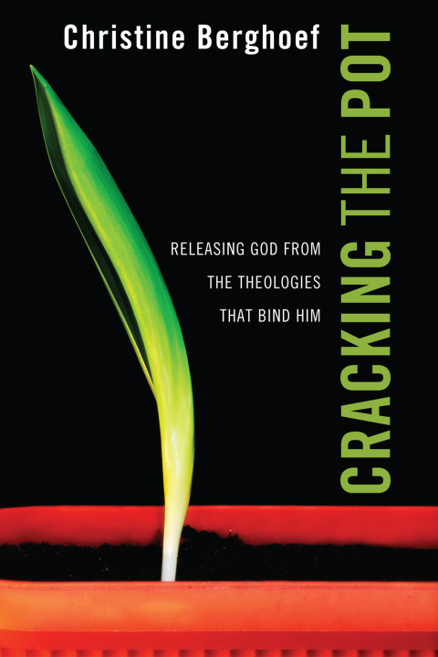 Cover image for book Cracking the Pot