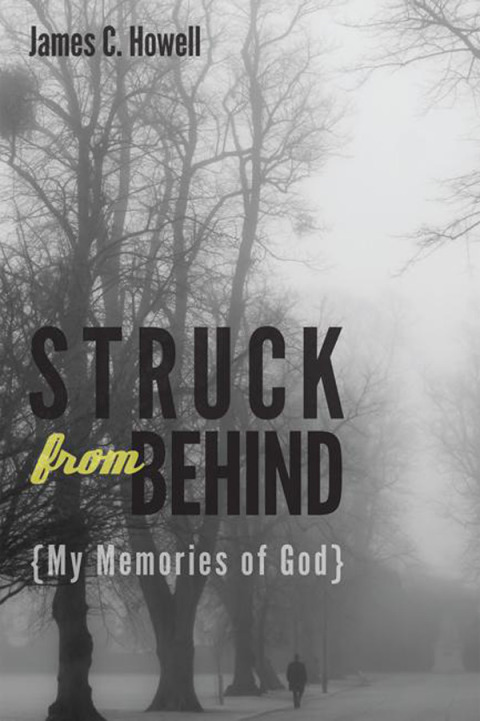 Cover image for book Struck from Behind