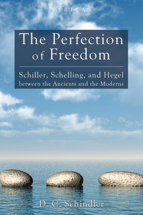 Cover image for book The Perfection of Freedom