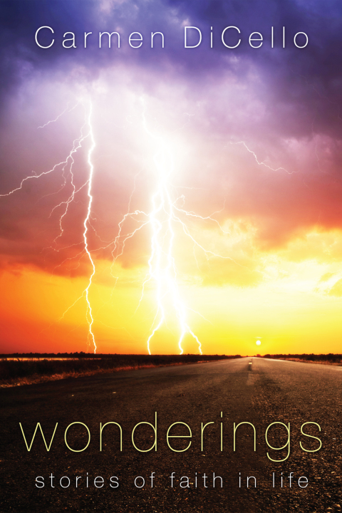 Cover image for book Wonderings