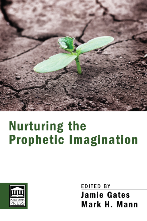 Cover image for book Nurturing the Prophetic Imagination