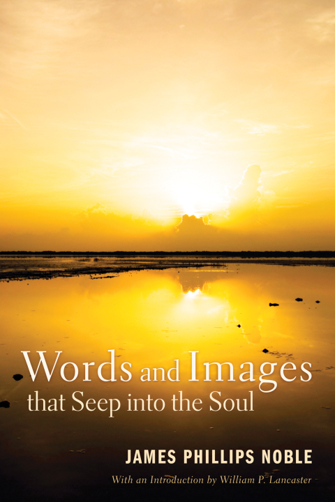 Cover image for book Words and Images that Seep into the Soul