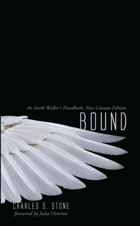 Cover image for book Bound