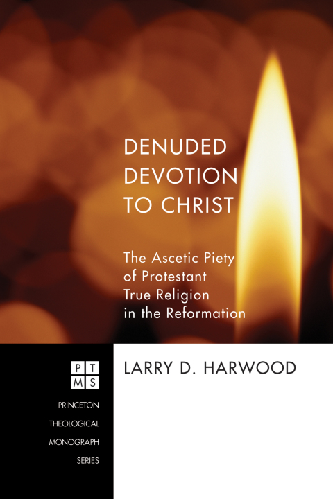 Cover image for book Denuded Devotion to Christ