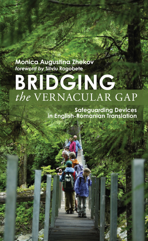 Cover image for book Bridging the Vernacular Gap