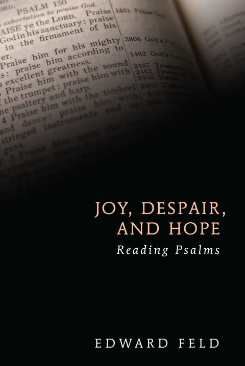Cover image for book Joy, Despair, and Hope