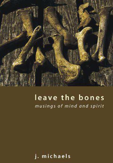 Cover image for book Leave the Bones