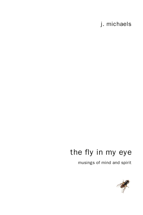 Cover image for book The Fly in My Eye