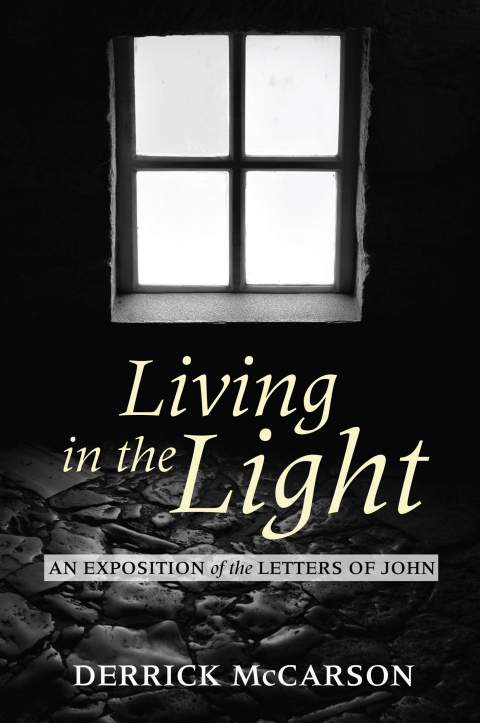 Cover image for book Living in the Light