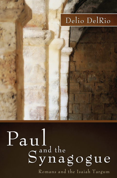 Cover image for book Paul and the Synagogue
