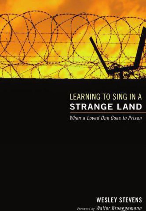 Cover image for book Learning to Sing in a Strange Land