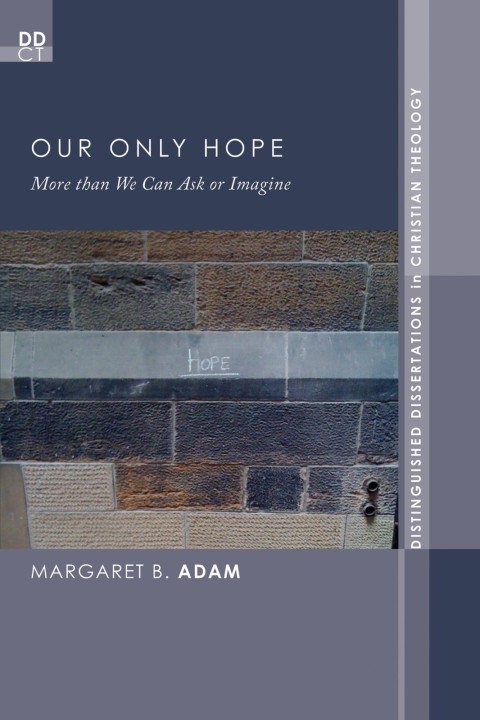 Cover image for book Our Only Hope