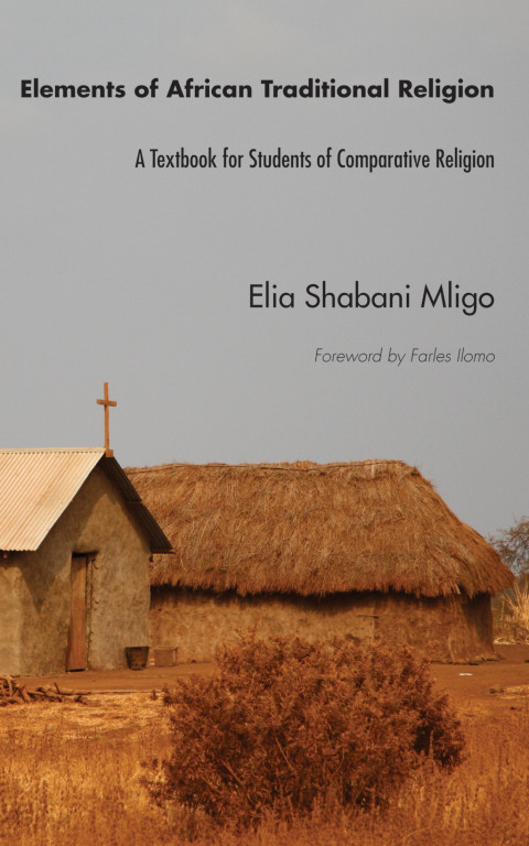 Cover image for book Elements of African Traditional Religion