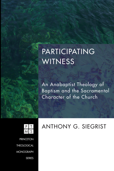 Cover image for book Participating Witness