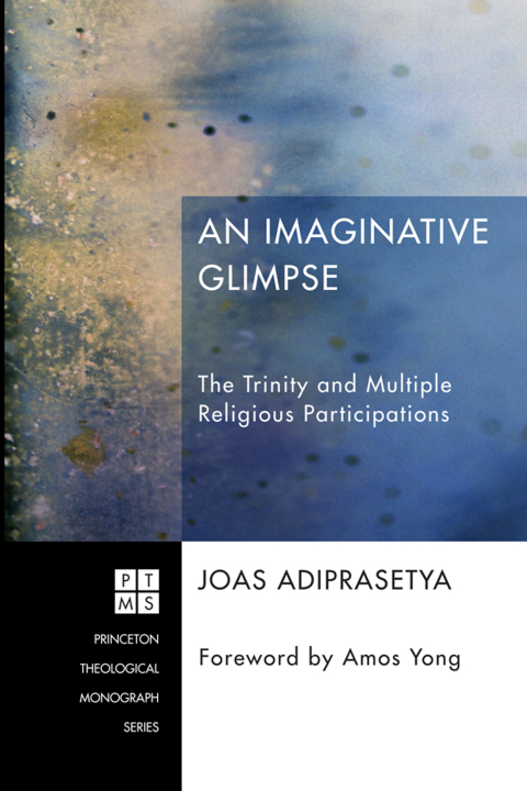 Cover image for book An Imaginative Glimpse