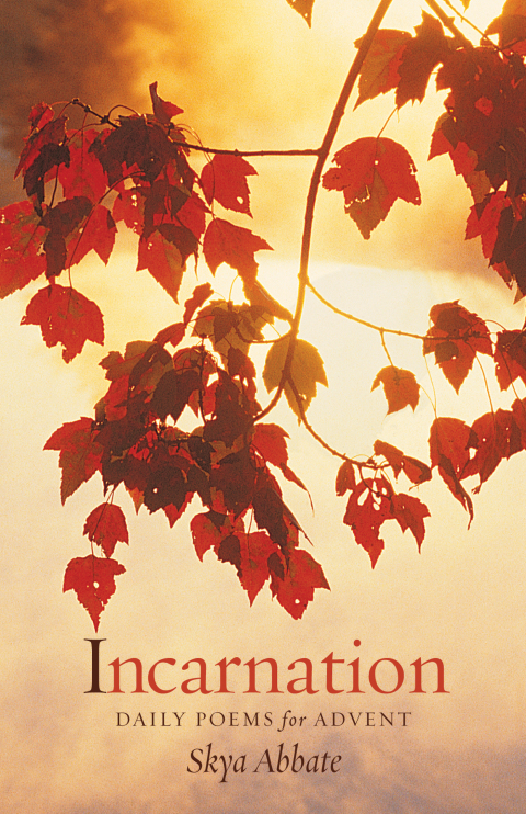 Cover image for book Incarnation