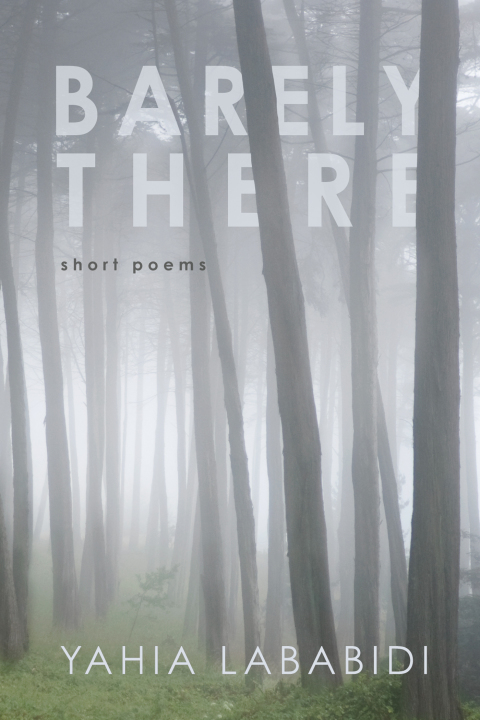 Cover image for book Barely There