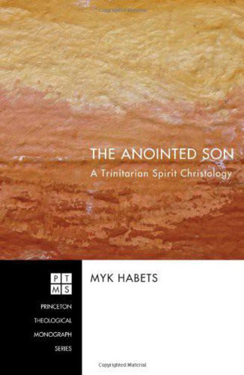 Cover image for book The Anointed Son