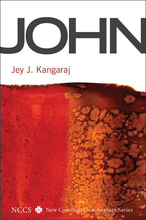 Cover image for book John