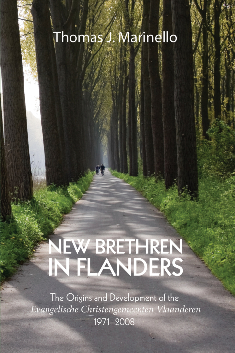 Cover image for book New Brethren in Flanders