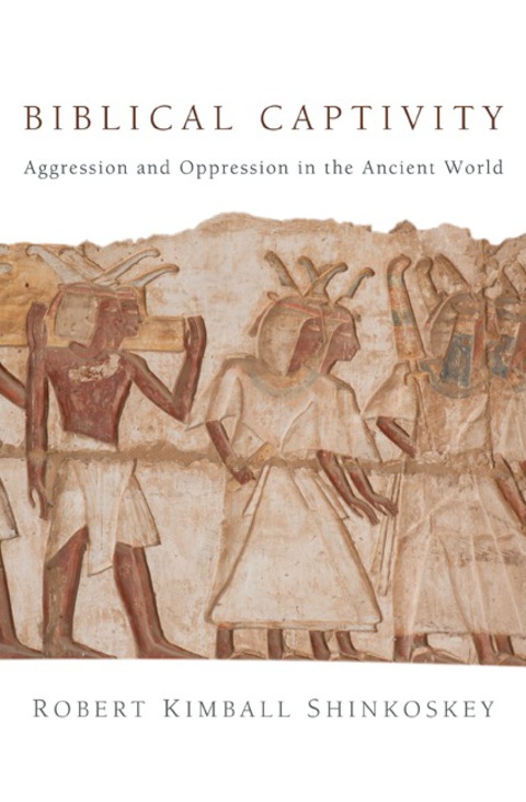Cover image for book Biblical Captivity