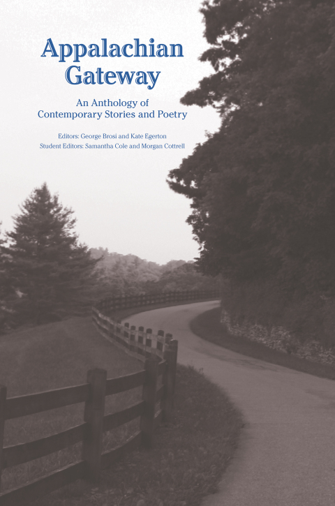 Cover image for book Appalachian Gateway