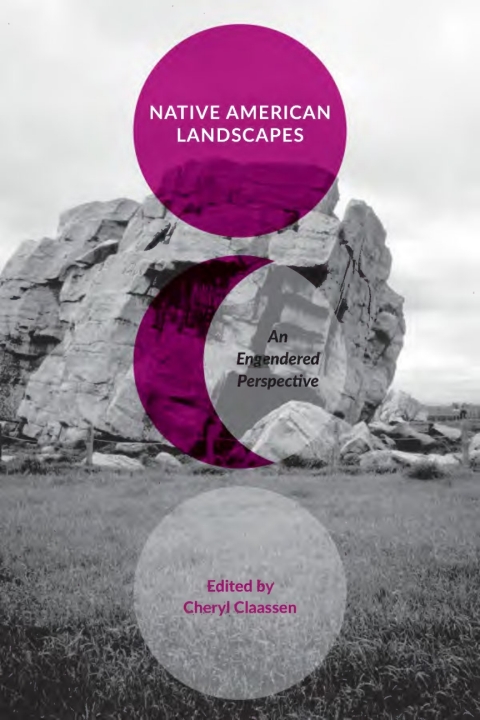 Cover image for book Native American Landscapes