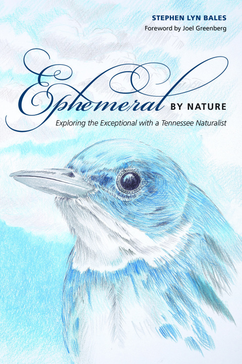 Cover image for book Ephemeral by Nature