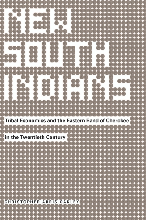 Cover image for book New South Indians
