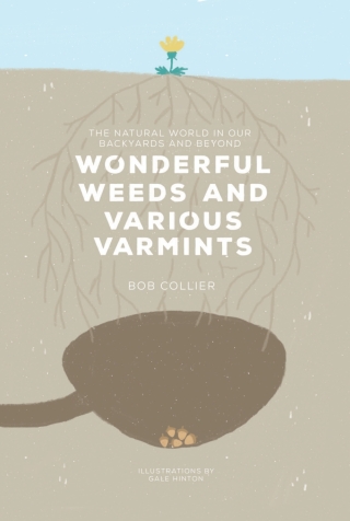 Wonderful Weeds and Various Varmints