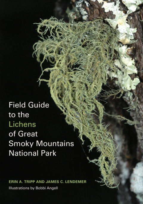 Cover image for book Field Guide to the Lichens of Great Smoky Mountains National Park
