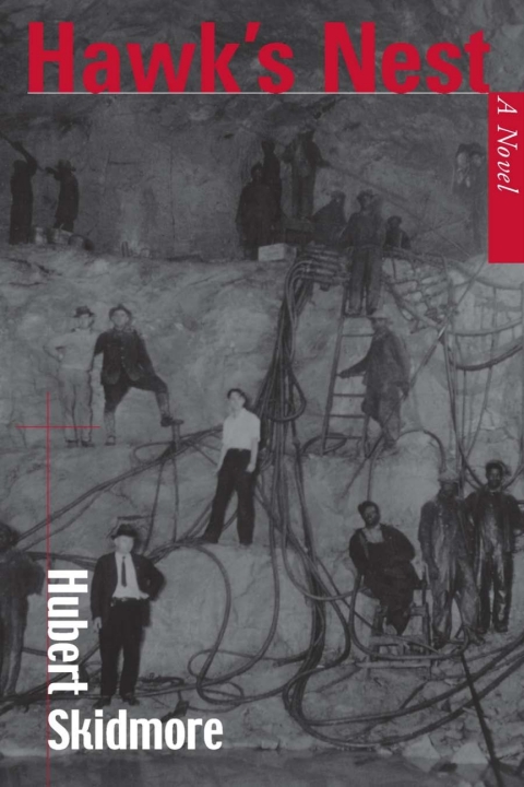 Cover image for book Hawk's Nest
