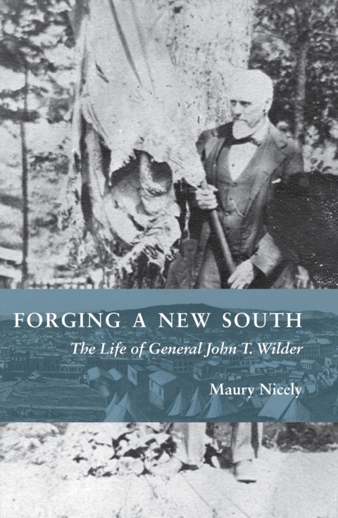 Cover image for book Forging a New South