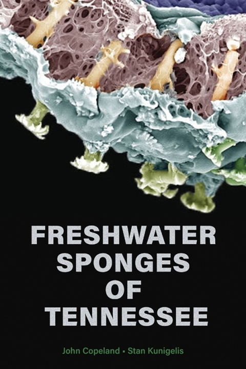 Cover image for book Freshwater Sponges of Tennessee