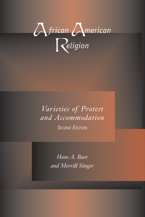 Cover image for book African American Religion