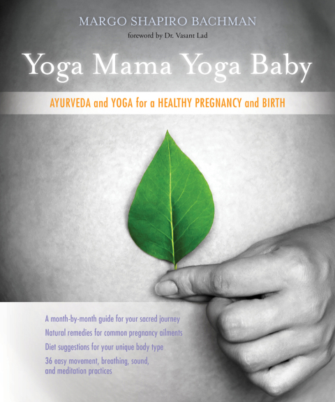 Cover image for book Yoga Mama, Yoga Baby