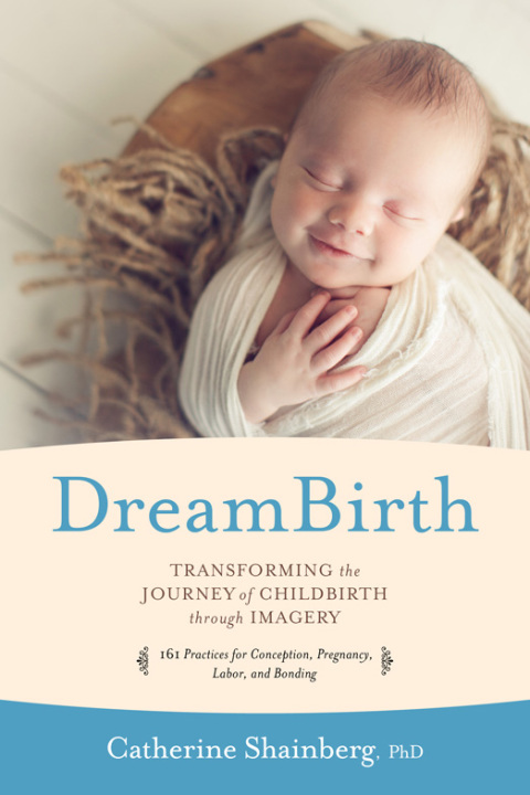 Cover image for book DreamBirth
