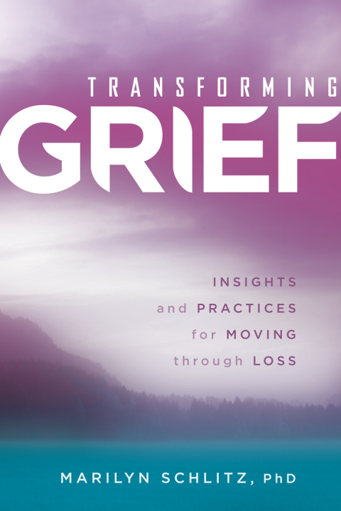 Cover image for book Transforming Grief