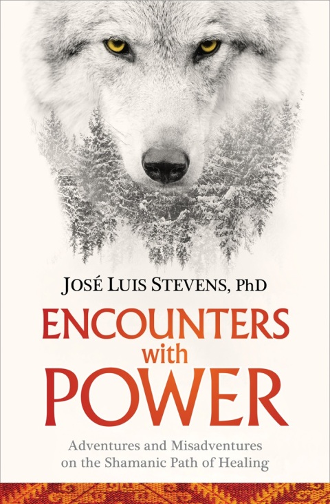 Cover image for book Encounters with Power