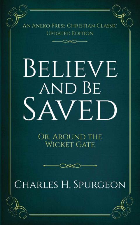Cover image for book Believe and Be Saved