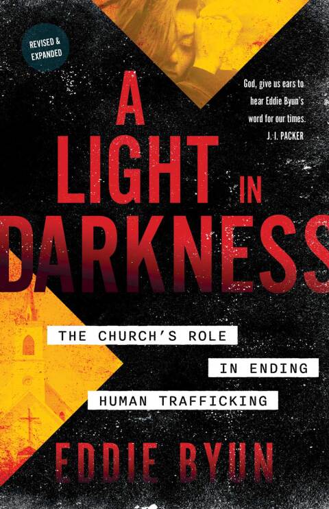 Cover image for book A Light in Darkness